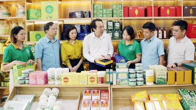 Bac Ninh: Håller jämna steg med den digitala transformationstrenden och förbättrar den kollektiva ekonomins effektivitet.