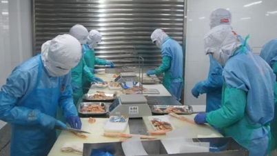 Vietnam'ın ihracatı: Sürdürülebilir büyüme için yeni bir itici güç.