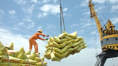 Vietnam's rice exports reached US$1.1 billion in the first quarter of 2026, with prices remaining stable.