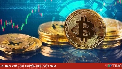Thuế tài sản mã hóa được kê khai như thế nào?