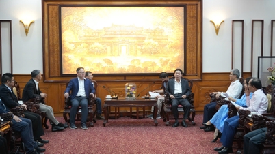 The city always stands alongside and supports Baosteel Can Making Co., Ltd. to operate effectively.