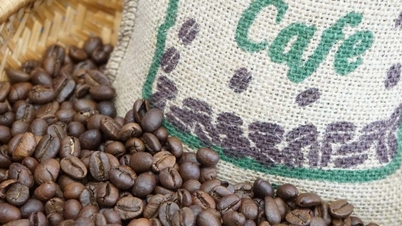 Koffieprijzen vandaag, 10 april 2026: Lichte daling over de hele linie.