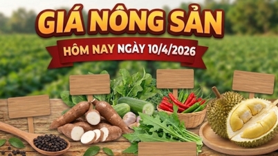 ราคาสินค้าเกษตรประจำวันนี้ (10 เมษายน): ราคามันสำปะหลังสดพุ่งสูงขึ้น ราคาพริกลดลงต่ำสุดเป็นประวัติการณ์