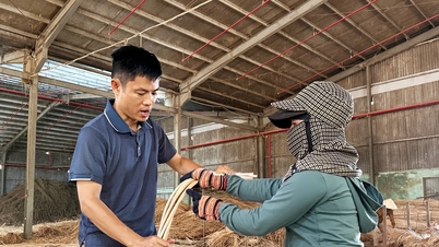ธุรกิจต่างๆ ได้หยุดส่งออกวัตถุดิบและหันกลับมาพึ่งพาตลาดภายในประเทศอีกครั้ง