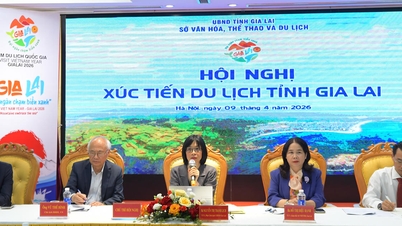 ការផ្សព្វផ្សាយទេសចរណ៍នៅ Gia Lai៖ ការតភ្ជាប់ កិច្ចសហប្រតិបត្តិការ និងការអភិវឌ្ឍ។