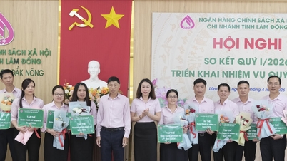 A Vietnami Szociálpolitikai Bank Lam Dong fiókja javítja a hitelminőséget.