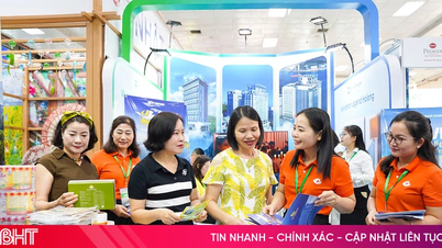 Ha Tinh participa da Feira Internacional de Turismo do Vietnã VITM 2026.