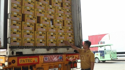 De eerste lading durian is via het 'groene kanaal' geëxporteerd via de grensovergang Huu Nghi.