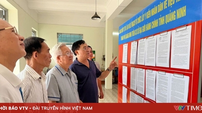 Quang Ninh busca urgentemente la opinión pública sobre el establecimiento de una ciudad con gobierno central.