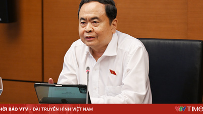 Speaker of the National Assembly: Eliminate the fear of making mistakes, protect officials who dare to think and act.