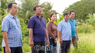 Cooperatives - A crucial pillar in agricultural restructuring.