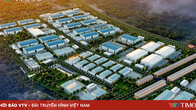 Thai Nguyen: Sanayi ivme kazanıyor, ihracat 6,2 milyar ABD dolarını aştı.