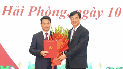 นายเลอ ง็อก เชา ได้รับการแต่งตั้งเป็นเลขานุการคณะกรรมการพรรคประจำเมืองไฮฟอง