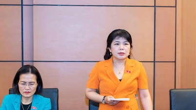 공공 투자 분산화를 제안하고 지방 당국의 업무 수행을 방해하는 장애물을 지속적으로 제거합니다.