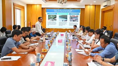 बिच डैम में हरित सामुदायिक पर्यटन के लिए प्रस्तावित पायलट परियोजना पर परामर्श।