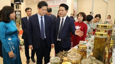 Permanent Deputy Minister Vu Manh Ha outlines 5 directions for elevating the status of Vietnamese medicinal herbs in the new phase.