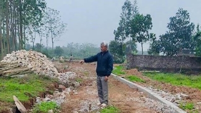 বাদুড় গোষ্ঠী: কার্যকর গণসংহতি - উন্নয়নের 'বাধা' দূর করার 'চাবিকাঠি'।