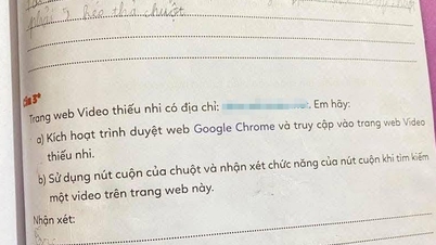 'Situs web gelap' dalam buku teks Ilmu Komputer kelas 3: Apa kata para ahli teknologi?