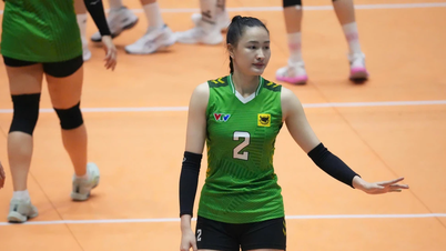 Die Schönheiten bei der Nationalen Volleyball-Klubmeisterschaft 2026.