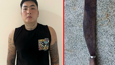 Ho Chi Minh-stad: Verdachte aangeklaagd en aangehouden voor het toebrengen van verwondingen met een mes in zijn woning.