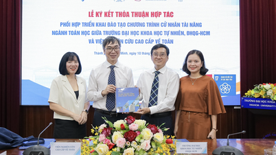 Học bổng cho sinh viên ngành toán học, miễn 100% học phí, hỗ trợ 15 triệu đồng/tháng