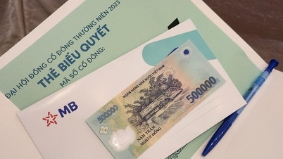 Số lượng đăng ký quá đông, MB dừng phát tiền “ăn trưa” cho cổ đông