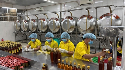 A economia da cidade de Ho Chi Minh está apresentando forte aceleração, com seu PIB regional atingindo o maior patamar em cinco anos no primeiro trimestre.