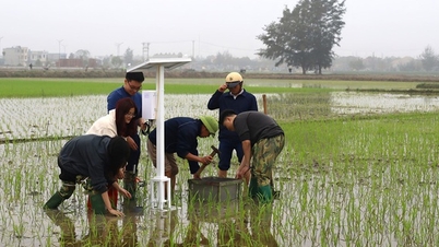 Australia and Vietnam announce three outstanding projects from the Innovation Partnership Fund to address challenges in agriculture.
