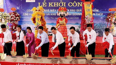 Comienza la construcción de una planta de procesamiento de frutas y verduras de alta tecnología en Lac Thuy.