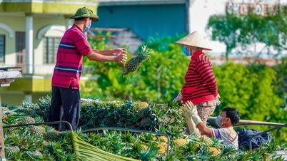 메콩 삼각주: 다채로운 색채로 가득한 발견의 여정.