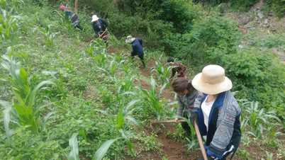 Duurzame bestaansmiddelen in Khao Mang