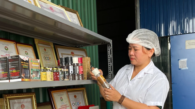 Компания Gia Lai имеет 2 подразделения, удостоенных награды «Звезда кооператива», и 4 продукта, получивших награду «Mai An Tiêm».
