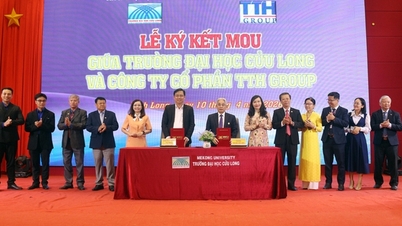 A TTH Group megbízta a Cuu Long Egyetemet a humánerőforrás képzésével.