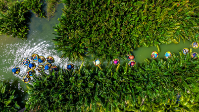 Tourists love green, personalized experiences, and 'no shopping'.