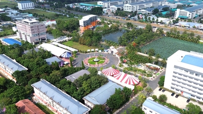 Universitetet har en byggnad som innehar ett vietnamesiskt rekord, och det är där rådgivningen under tentasäsongen äger rum.