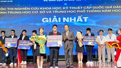 Ministry of Education and Training: The first prize in science and technology awarded to a student from Ninh Binh province was not plagiarized.