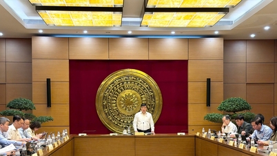 La délégation provinciale de députés de l'Assemblée nationale de Lam Dong a proposé de nombreuses solutions novatrices pour débloquer des ressources permettant une croissance à deux chiffres.