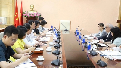 Biträdande minister Nguyen Tri Thuc förde diskussioner med JICA-rådgivare om att främja hälso- och sjukvårdssamarbetet mellan Vietnam och Japan.