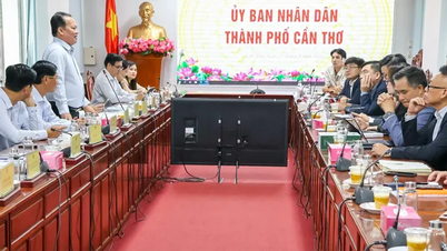 Dream Incubator Southeast Asia đề xuất giải pháp phát triển kinh tế - xã hội Cần Thơ