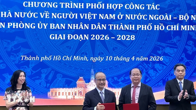Erőforrások vonzása a tengerentúli vietnamiaktól Ho Si Minh-város fejlesztése érdekében.