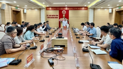 Quang Ninh zawsze stoi po stronie firm logistycznych i je wspiera.