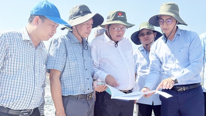 Ngo Cong Thuc, vicevoorzitter van het provinciale volkscomité van An Giang, inspecteert delfstoffenmijnbouwgebieden ten behoeve van het APEC-project.