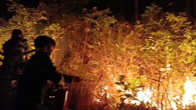 Las autoridades controlaron rápidamente el incendio forestal en la zona montañosa de Yen Ngua, en la comuna de Tan Hoi.