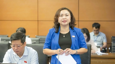 Debate en el Grupo 15 (Delegación de la Asamblea Nacional de la ciudad de Da Nang y la provincia de Phu Tho): Se necesita un mecanismo flexible para la reconversión de la función de los activos excedentes.