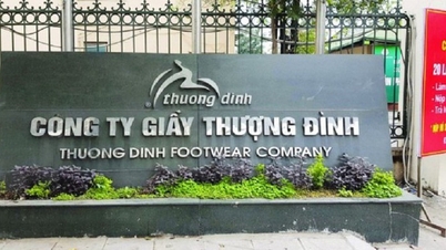 Vinaconex سے منسلک ایک چھ ماہ پرانی کمپنی Thuong Dinh Shoo Factory میں 'چھلانگ لگائی'۔