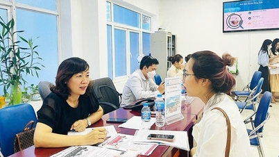 Hanoi: 75 Arbeitsvermittler sollen ausgewählt werden.