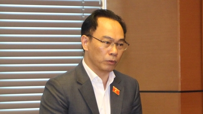 Minister Hoang Minh Son: För att ha högkvalitativa mänskliga resurser är grunden fortfarande allmänbildning.
