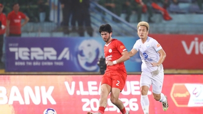 A contrasting picture of Vietnamese-born players.