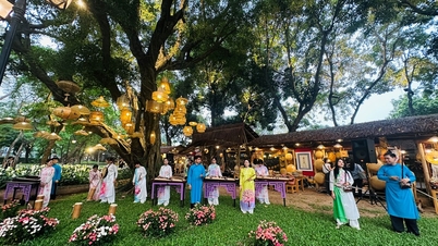 Jardín de la Luz: la intersección del arte y el conocimiento.