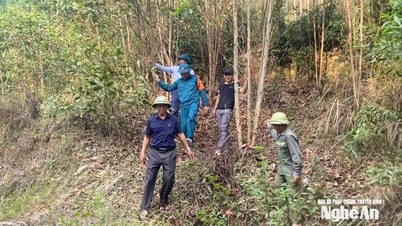 ১১ই এপ্রিল ন্গে আনে আবহাওয়া: তীব্র গরম অব্যাহত থাকবে।
